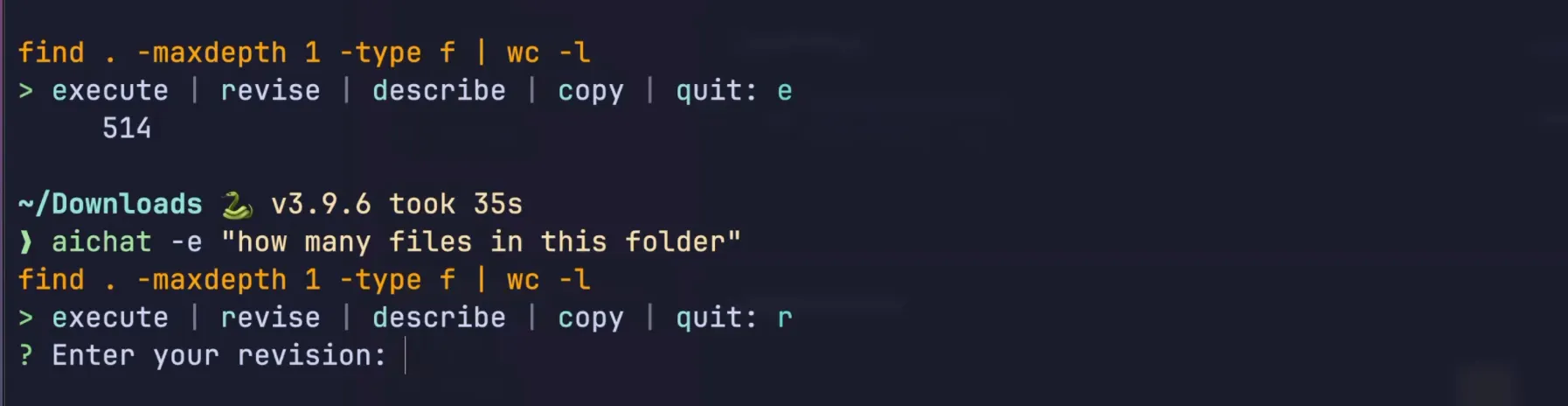 Execute and revise in one screen