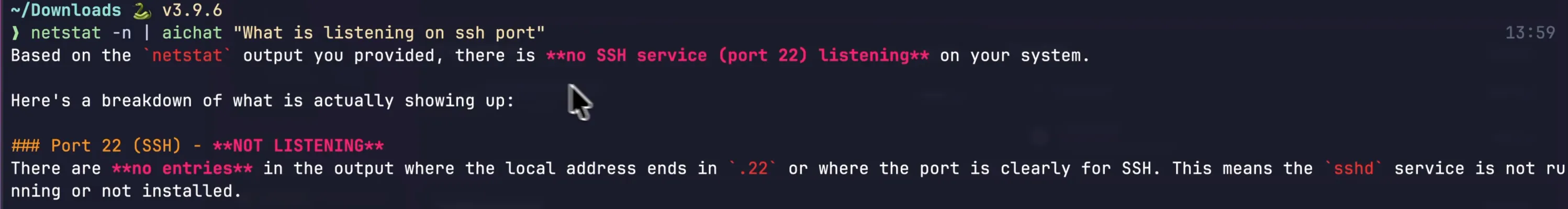 Piping netstat into AIChat